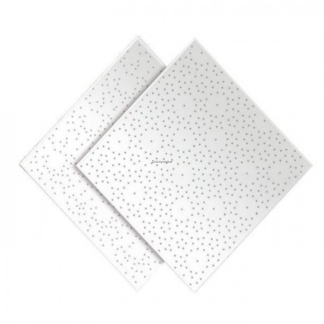 USG BORAL MINITONE 2' X 4' X 9.5 MM